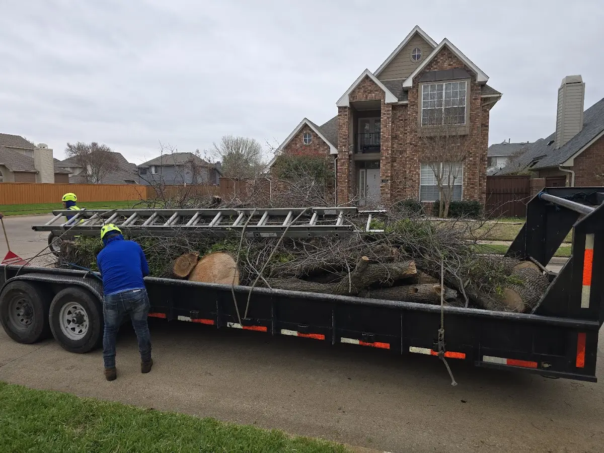 Expert Lot Clearing with proper safety equipment in Clark